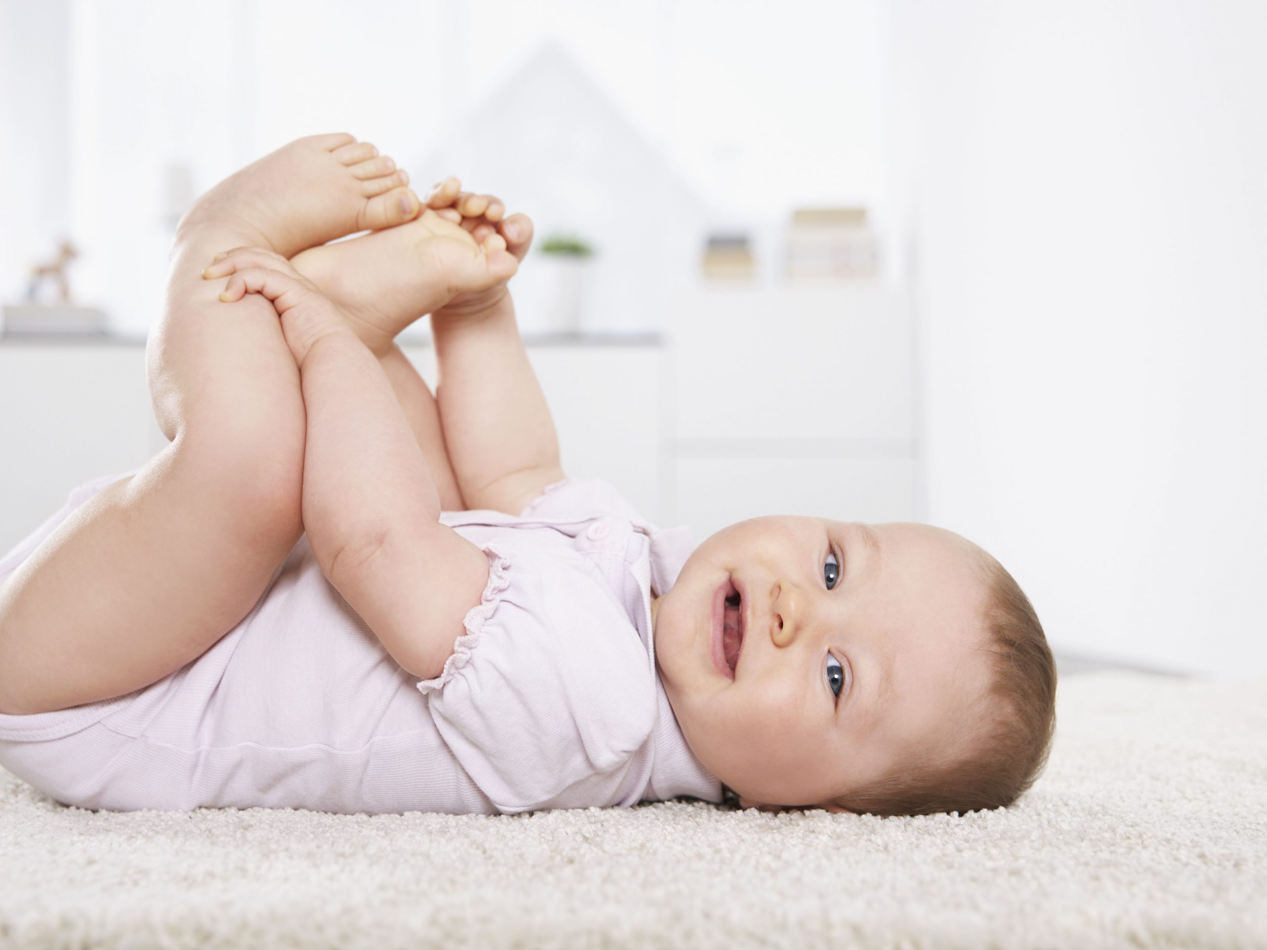 EcoFriendly Carpet Cleaning Northcliff from R279 Accend Solutions