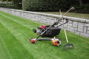 Garden Services Randburg offeers the Best Landscaping and Instant Lawn Services In Randburg. Our Garden Service prices are affordable, our service exceptional; tell me if there is anything that can beat that?