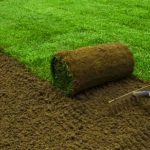Instant Land and Landscaping Services in Randburg