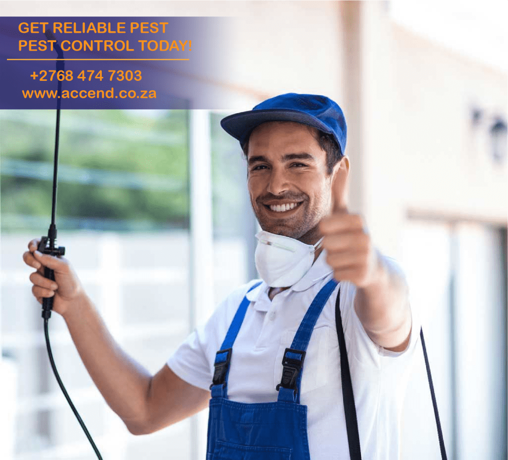 Why Pest Control is Critical to public health | Pest Control in Randburg | Pest Control ruimsig | Fumigation service in Randburg | Pest Control Roodepoort | Pest Control Midrand and Thatch Fumigation Randburg