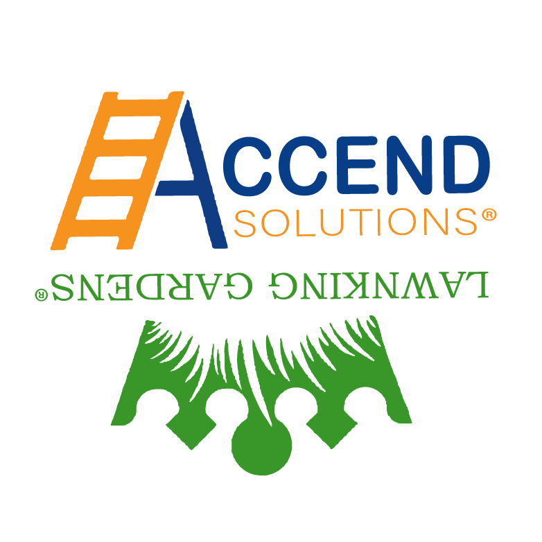 Accend Solutions | Pest Control and Fumigation