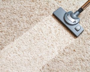 Accend Solutions Steam Cleaning Carpet Cleaning | Affordable Carpet Cleaning Ranbdurg | Fourways Carpet Cleaning and Steam Cleaning of Rugs Prices | Carpet Odour Removal