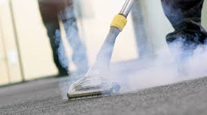 carpet cleaning services Roodepoort, professional carpet cleaners Roodepoort, deep carpet cleaning, steam carpet extraction, carpet sanitizing Roodepoort, carpet maintenance services, carpet shampooing, carpet stain removal, residential carpet cleaning, commercial carpet cleaning, eco-friendly carpet cleaning, carpet disinfection, upholstery cleaning Roodepoort, carpet dry time, best carpet cleaners, affordable carpet cleaning, emergency carpet cleaning, carpet odor removal, carpet restoration, carpet spot cleaning, carpet hygiene services, carpet allergies treatment, carpet mold prevention, carpet cleaning prices, carpet steam machines, carpet cleaning companies near me, carpet cleaning quotes, carpet deep cleaning services, carpet cleaning specialists, carpet care expertscarpet steam cleaning Roodepoort, professional carpet cleaning Roodepoort, carpet cleaning services Roodepoort, steam cleaning Roodepoort, carpet shampooing Roodepoort, deep carpet cleaning Roodepoort, carpet stain removal Roodepoort, upholstery cleaning Roodepoort, rug cleaning Roodepoort, carpet cleaning company Roodepoort, residential carpet cleaning Roodepoort, commercial carpet cleaning Roodepoort, office carpet cleaning Roodepoort, carpet cleaning specialists Roodepoort, carpet cleaning experts Roodepoort, affordable carpet cleaning Roodepoort, cheap carpet cleaning Roodepoort, carpet cleaning prices Roodepoort, carpet cleaning cost Roodepoort, carpet cleaning quote Roodepoort, same day carpet cleaning Roodepoort, emergency carpet cleaning Roodepoort, 24 hour carpet cleaning Roodepoort, weekend carpet cleaning Roodepoort, carpet cleaning near me Roodepoort, local carpet cleaning Roodepoort, best carpet cleaning Roodepoort, top carpet cleaning Roodepoort, reliable carpet cleaning Roodepoort, guaranteed carpet cleaning Roodepoort, eco-friendly carpet cleaning Roodepoort, safe carpet cleaning Roodepoort, non-toxic carpet cleaning Roodepoort, pet odor removal Roodepoort, carpet deodorizing Roodepoort, carpet sanitizing Roodepoort, carpet disinfection Roodepoort, carpet restoration Roodepoort, carpet maintenance Roodepoort, carpet protection Roodepoort, Scotchgard treatment Roodepoort, carpet dry cleaning Roodepoort, hot water extraction Roodepoort, carpet cleaning equipment Roodepoort, carpet cleaning machines Roodepoort, truck mount carpet cleaning Roodepoort, portable carpet cleaning Roodepoort, carpet cleaning solutions Roodepoort, carpet cleaning chemicals Roodepoort, stain protection Roodepoort, carpet cleaning technicians Roodepoort, certified carpet cleaners Roodepoort, insured carpet cleaning Roodepoort, licensed carpet cleaning Roodepoort, carpet cleaning reviews Roodepoort, carpet cleaning testimonials Roodepoort, free carpet cleaning estimates Roodepoort, carpet cleaning packages Roodepoort, carpet cleaning deals Roodepoort, carpet cleaning specials Roodepoort, monthly carpet cleaning Roodepoort, quarterly carpet cleaning Roodepoort, annual carpet cleaning Roodepoort, one-time carpet cleaning Roodepoort, regular carpet cleaning Roodepoort, carpet cleaning maintenance Roodepoort, carpet cleaning contract Roodepoort, carpet cleaning appointment Roodepoort, carpet cleaning booking Roodepoort, carpet cleaning schedule Roodepoort