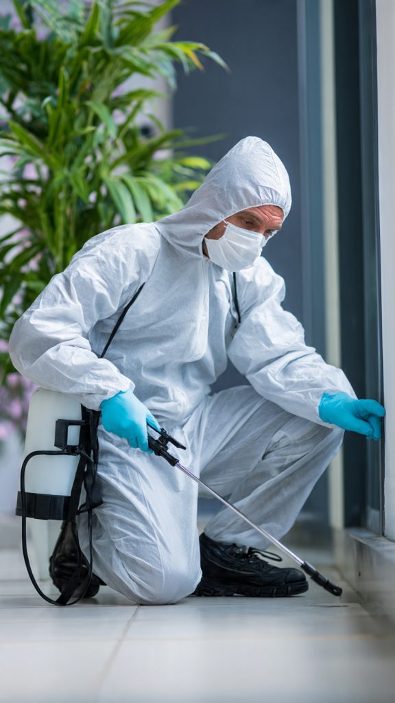 pest control Roodepoort, pest control Randburg, Accend Solutions, professional pest control, deep cleaning before pest control, cockroach control, rodent control, termite control, bed bug treatment, commercial pest control, residential pest control, fumigation services, pest prevention, hygiene and pest control, effective pest treatment, integrated pest management, pest eradication, long-term pest prevention, clean home pest control, pest control tips, pest control preparation, Roodepoort pest services, Randburg pest services, pest control company Gauteng, pest control experts, pest inspection, pest treatment preparation, safe pest control, pest control cleaning, pest control effectiveness